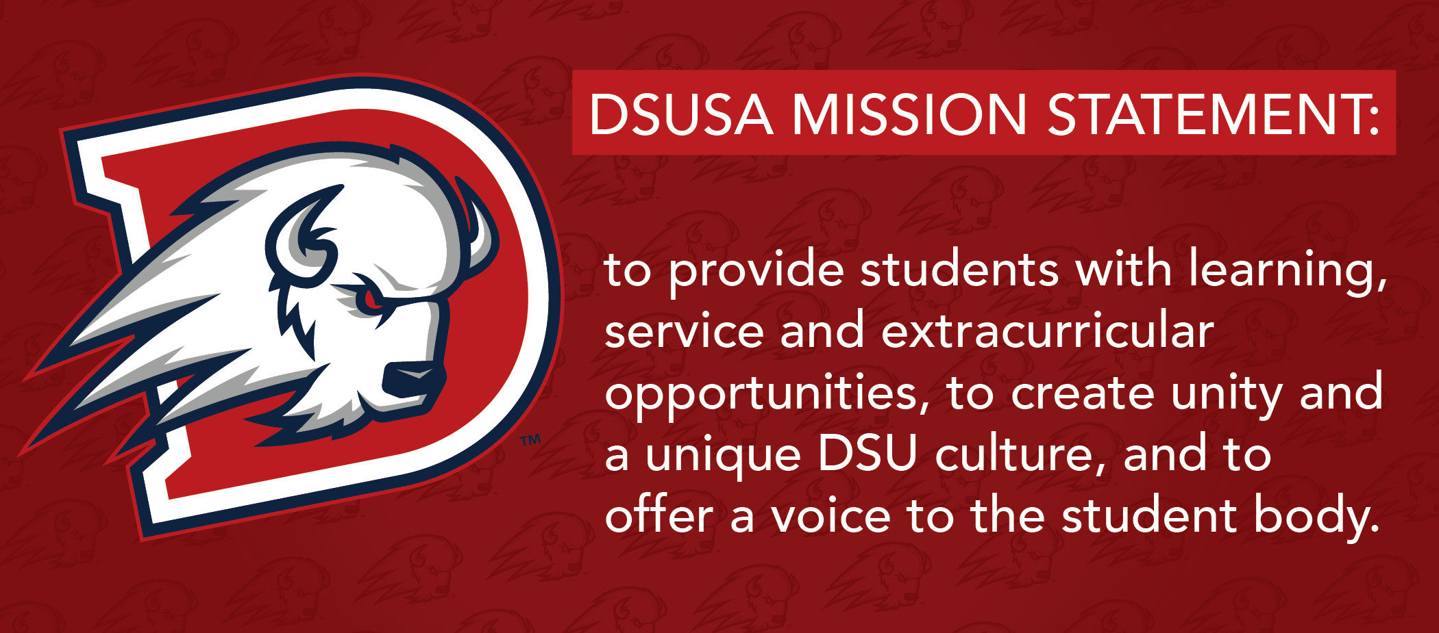 DSUSA elected students must meet position descriptions