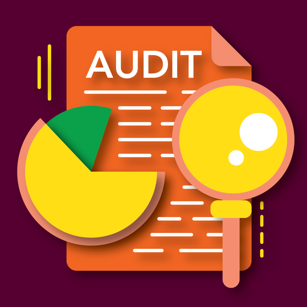 DSU audit not assigned despite OLAG findings