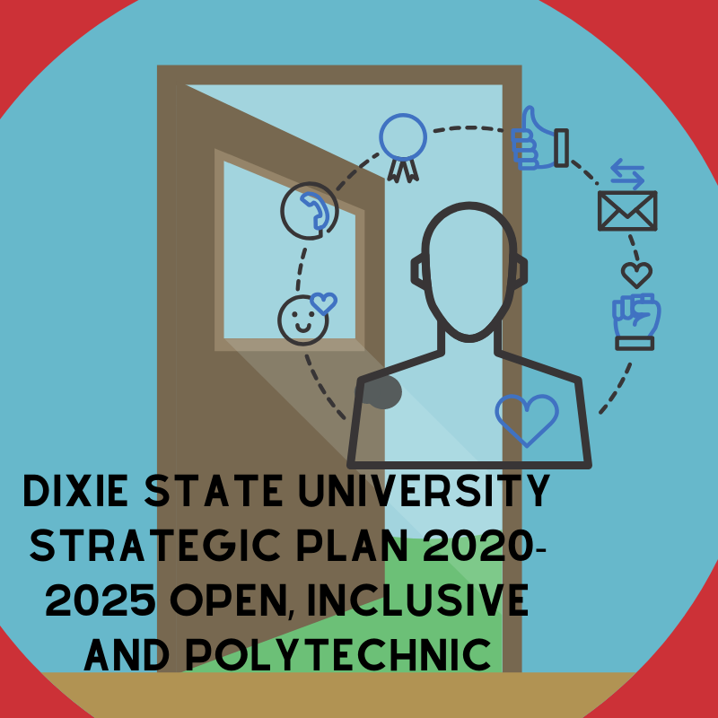 DSU developing its vision for strategic plan