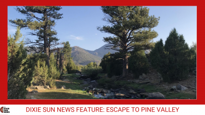 Escape to Pine Valley