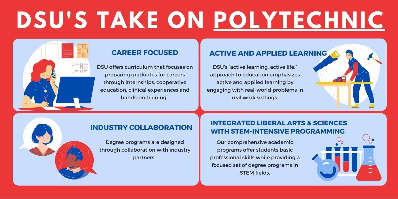 Polytechnic focus for university explained